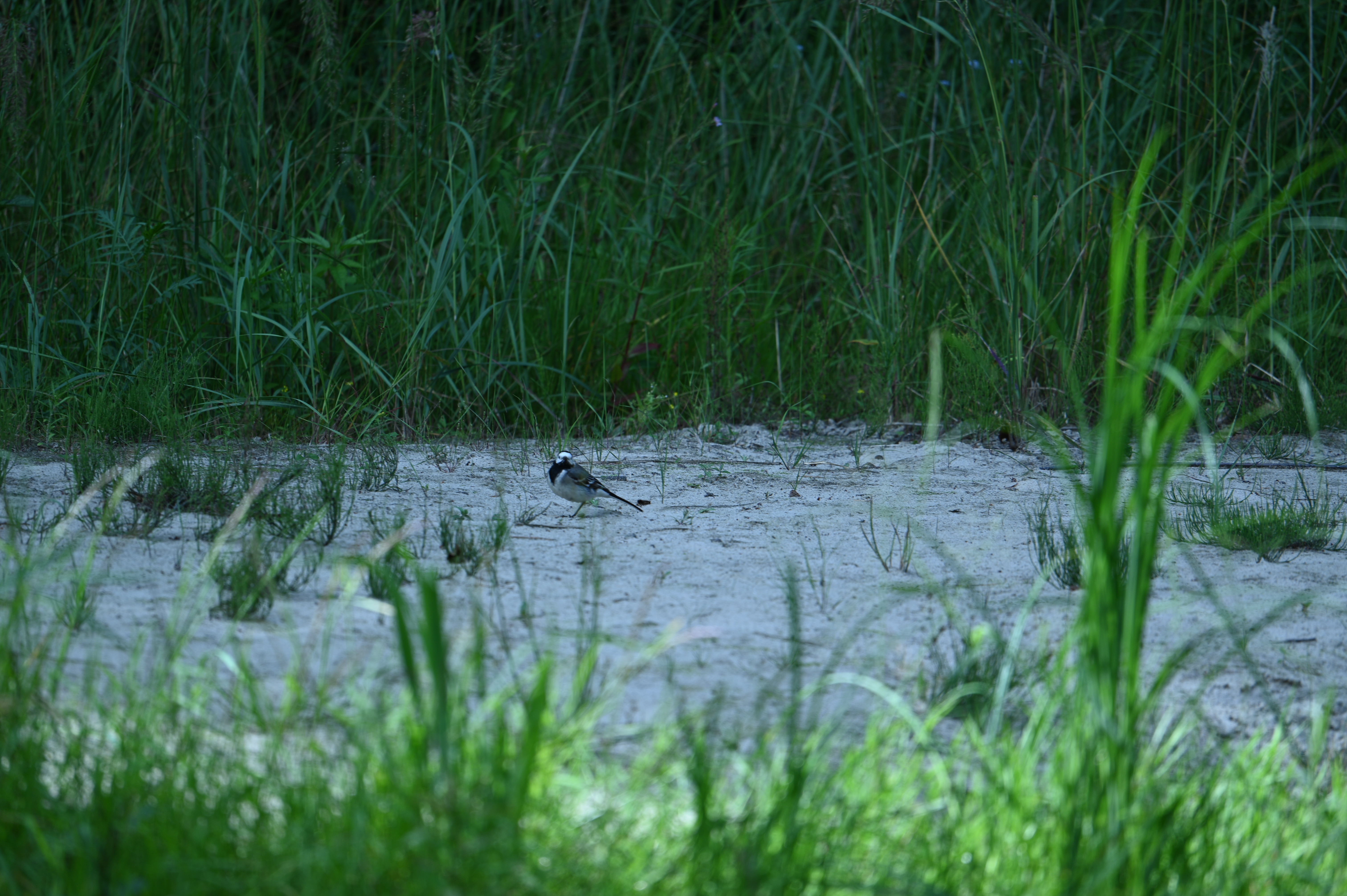 2025/07/09-14 - trip/DSC_0325.JPG